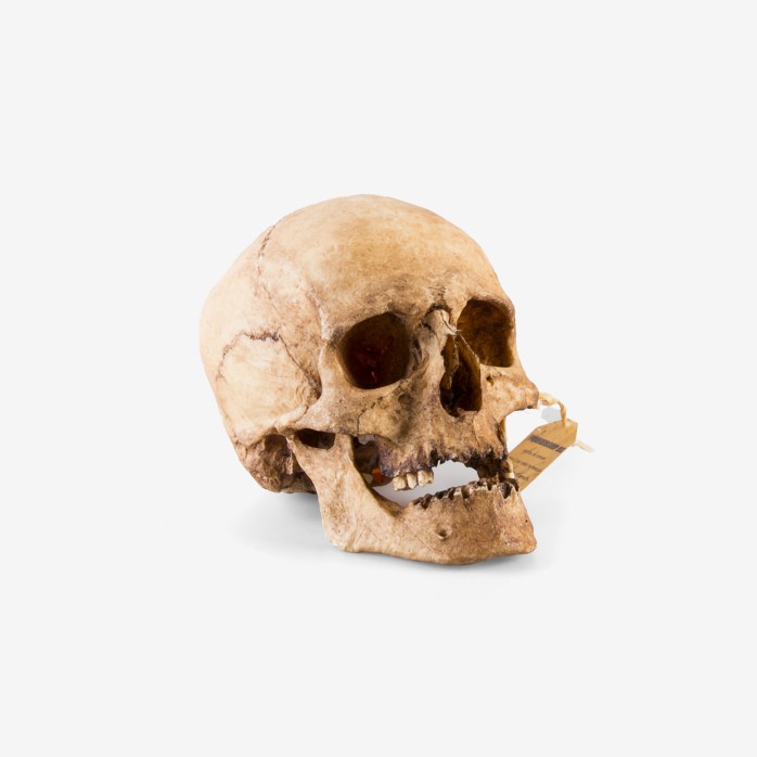 Men Skull