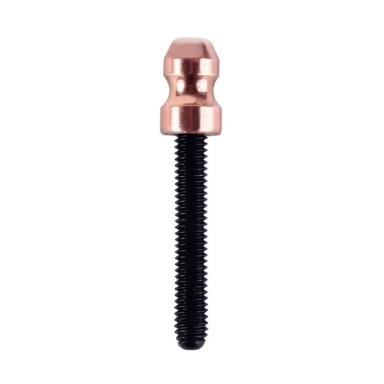 Lauro Paolini Copper Contact Screw